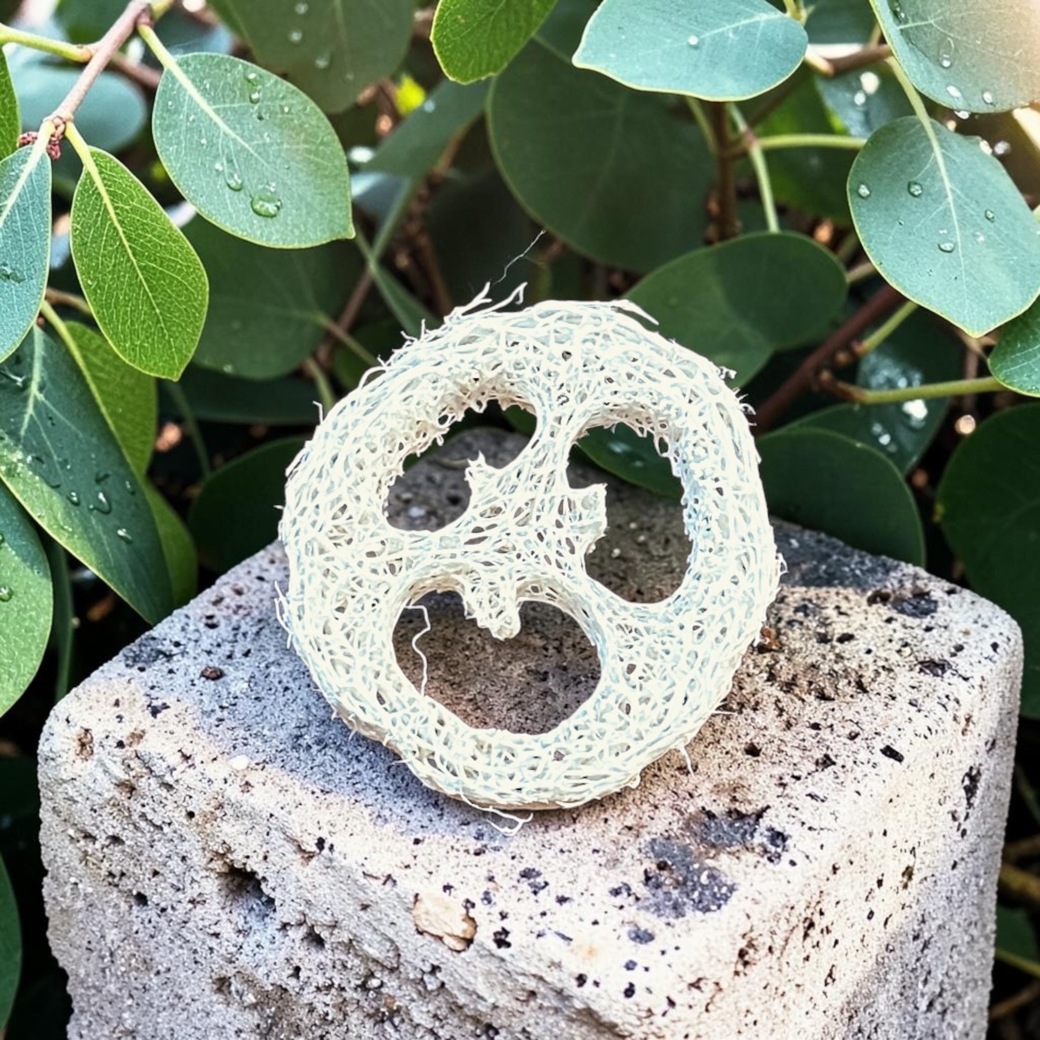 Loofah Slice Soap Savers